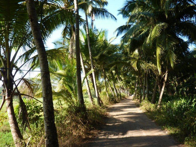 Coconut Grove Beach Resort Colva Exterior foto